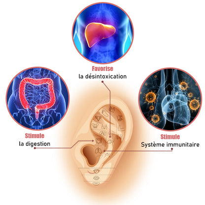 Boucles d'oreilles magnétogènes à flux lymphatique (🔥VENTE DU DERNIER JOUR - 80 % DE RÉDUCTION)